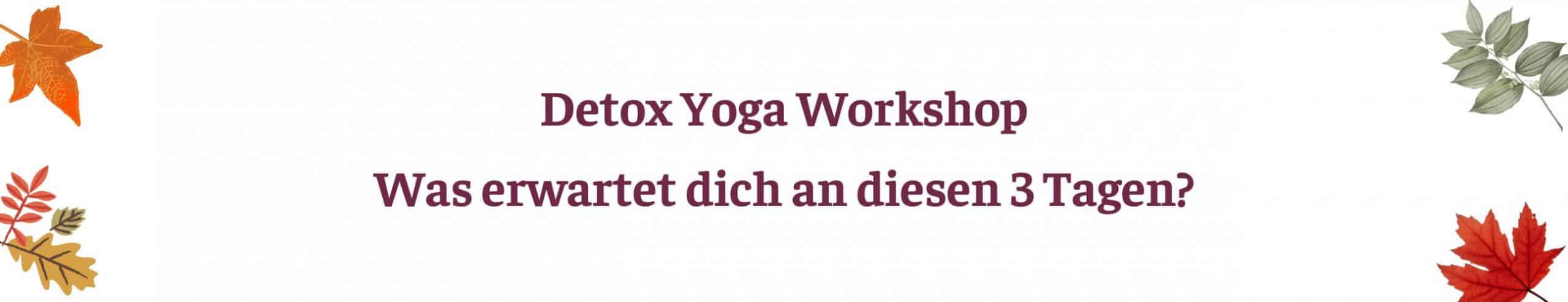 Detox-Yoga Workshop: was erwartet dich?