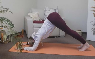 Der Delfin – kraftvoll und sanft zugleich: Shishumarasana im Yoga