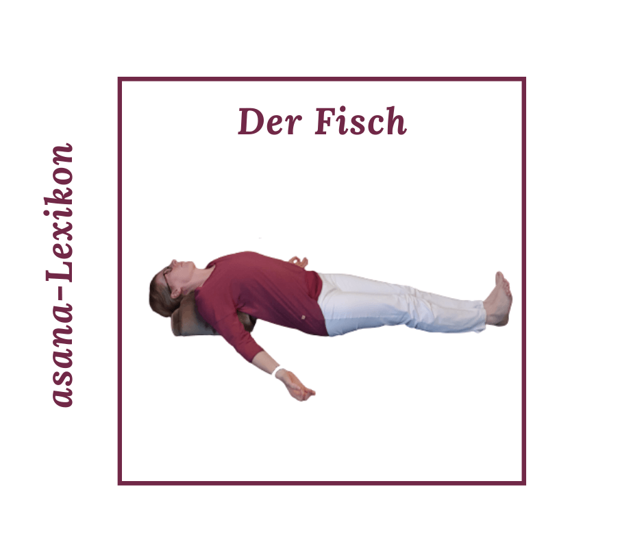 Fisch Yoga asana für Anfänger im Curvy Yoga