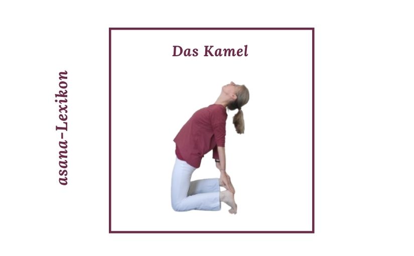 Yoga Kamel (Ustrasana): So wirkt die kraftvolle Rückbeuge und diese Varianten gibt es