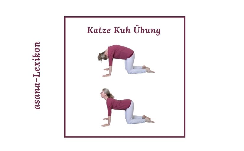 Katze Kuh Übung Yogalehrerin Melli zeigt die Katze Kuh Übung