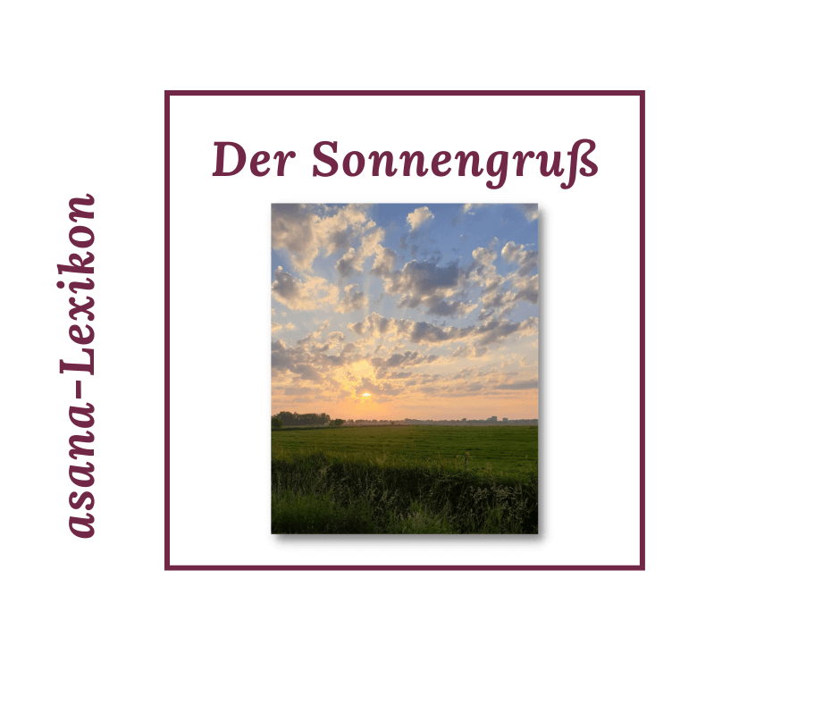 Surya Namaskar: Der Sonnengruß für mehr Energie und Beweglichkeit im Curvy Yoga