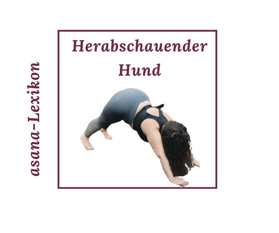 Der herabschauende Hund, eine Yoga-Übung für mehr Selbstbewusstsein